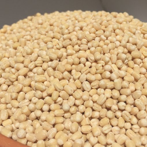 Picture of Urad Dal Whole / Uzhunnu 1 kg